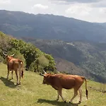 Casa de Campo Rio