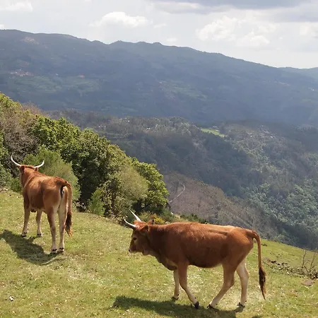 Casa rural Rio