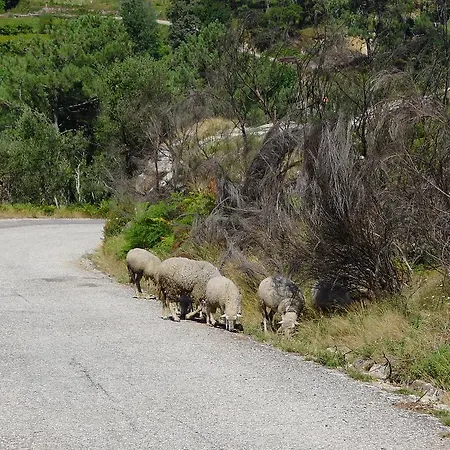 Venkovský dům Rio *