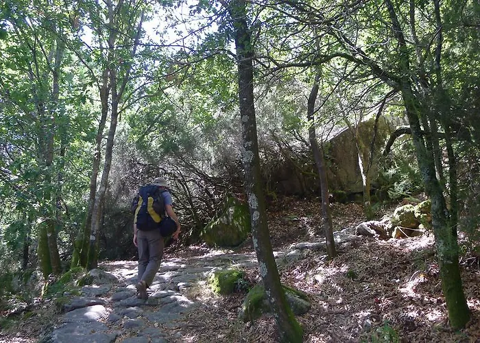 Rio Country house Tangil